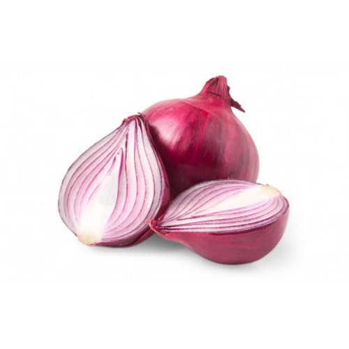250 graines oignon rouge - rouge,