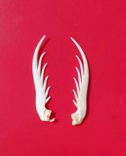 2X Mantis Shrimp Claws Dactyl