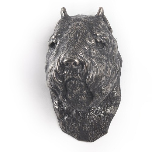 Bouvier des flandres tête - bouvier,