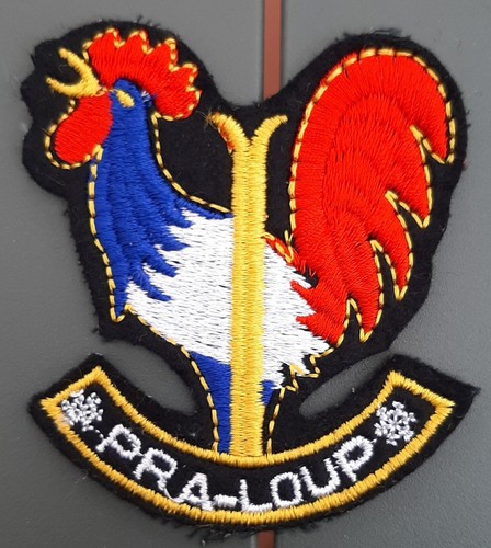 Patch ski pra - ski, skieur