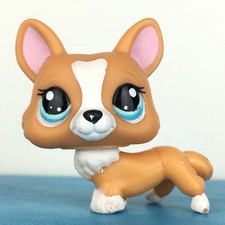 Authentic Littlest Pet Shop