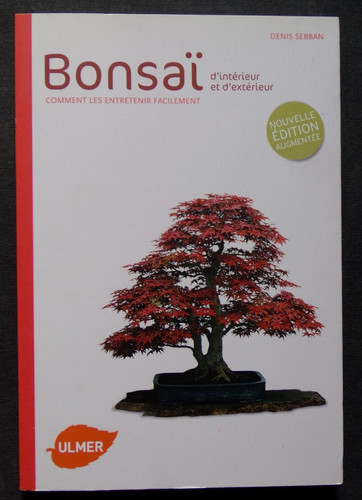 Bonsaï intérieur et - d'intérieur,