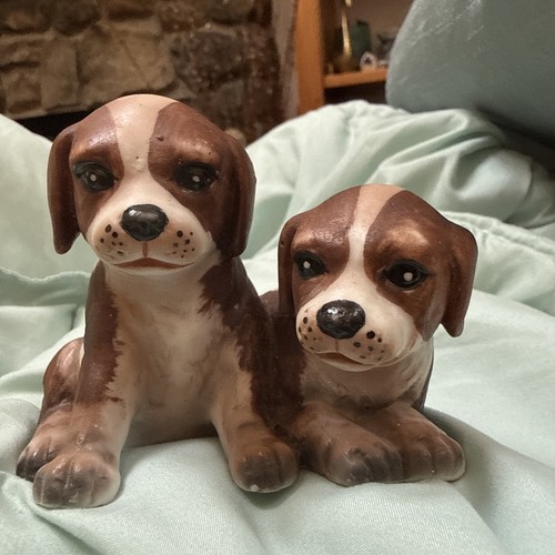 Beagle puppy set - beagle,