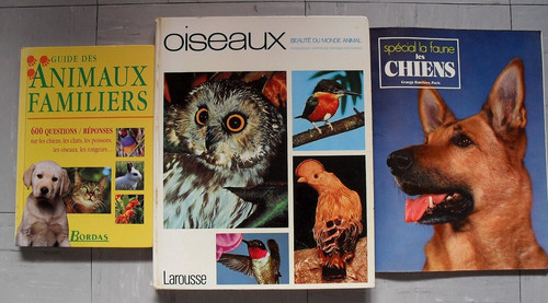 Lot livres animaux - lot, familiers