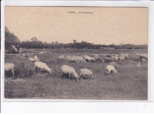 Luzac communal bergerie - luzac:,