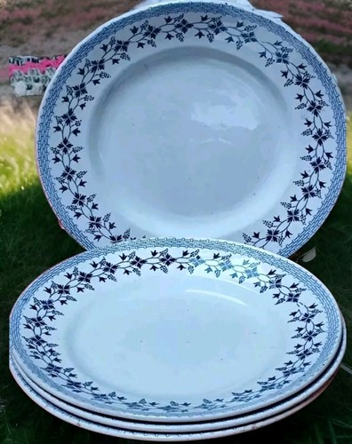 Assiettes plates terre de - terre,