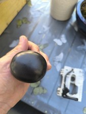 Pommeau De Vitesse Audi A6  Auto Cuir