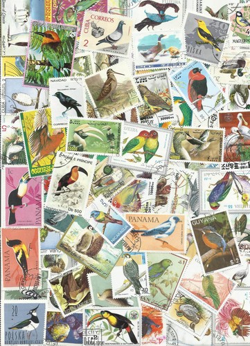100 timbres oiseaux - timbres,