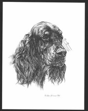 #344 GORDON SETTER portrait