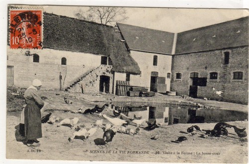 Cpa scene vie normande - scene,