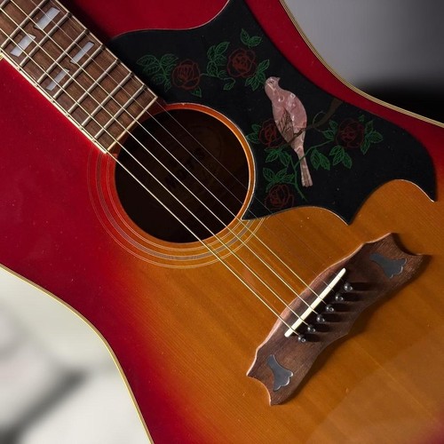 Guitare acoustique morris dove - guitare,