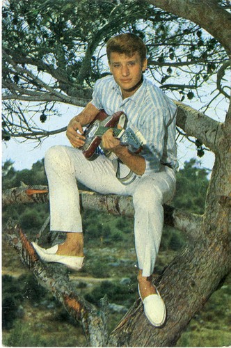 Johnny hallyday - "johnny, hallyday"