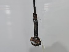 Tirant de porte avant gauche
