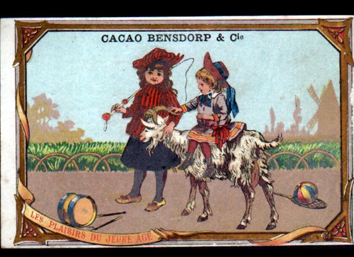 Image chromo ancienne - ancienne, cacao