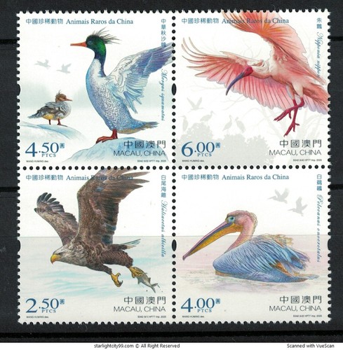 Macau china 2025 animaux rares - china,