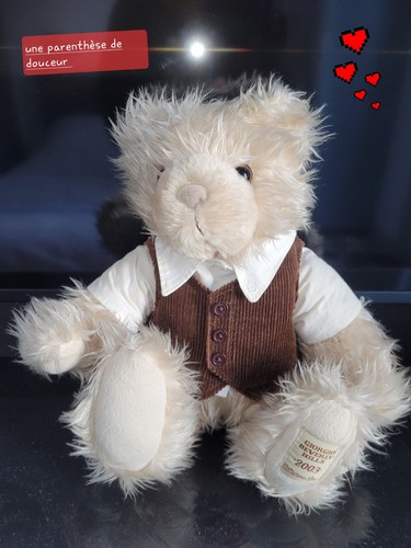 Peluche ours beige - /,