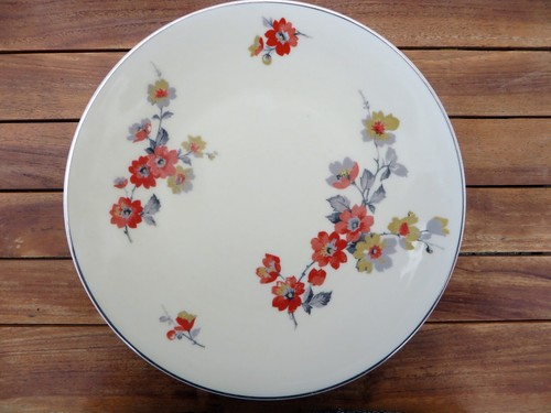 Assiettes plates en - 12,