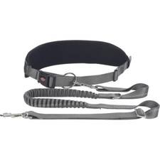 Ceinture Ventrale avec Laisse