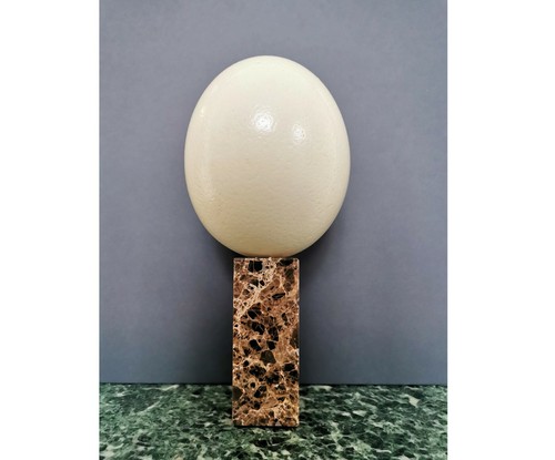 Ostrich egg brown marble stand - egg,
