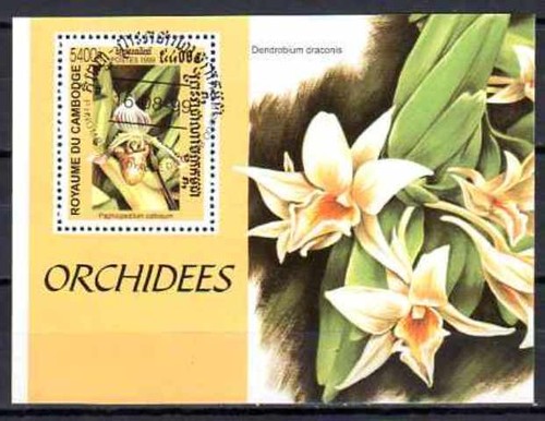 Fleurs orchidées cambodge - -,
