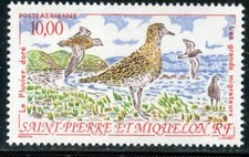 TIMBRE SAINT PIERRE ET