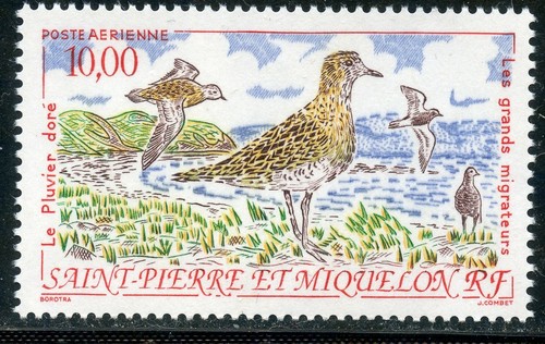 Timbre saint pierre - saint,