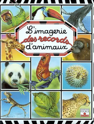 L'Imagerie des records