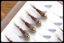 MOUCHE NYMPHES PHEASANT TAIL JIG TUNGSTÈNE OR H12-14 PAR 3