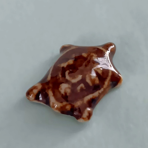Rare tortue marron vernis - rare,