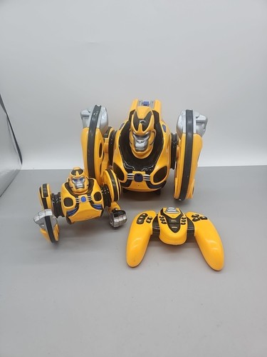 Bossa nova prime gorilla - prime, 8