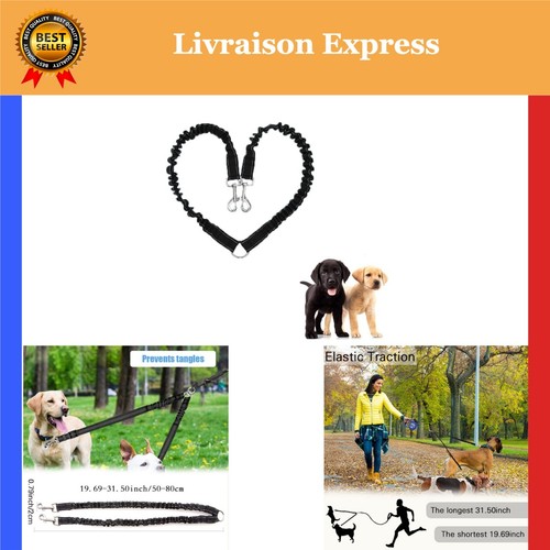 Laisse double pour chiens - double,