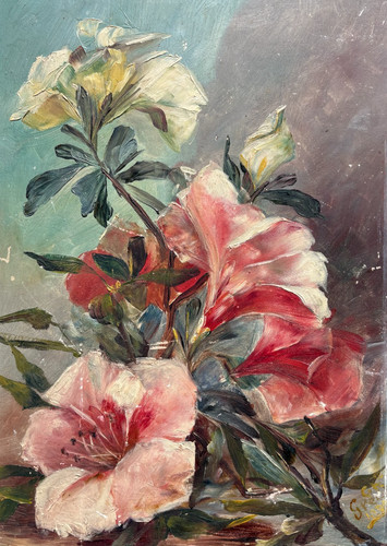 Fleurs nature morte - morte,