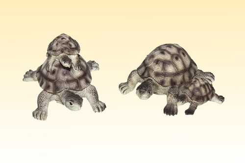 Tortue terre poly avec - de,