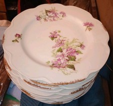 12 assiettes 1900 en porcelaine de Limoges Haviland Décor floral