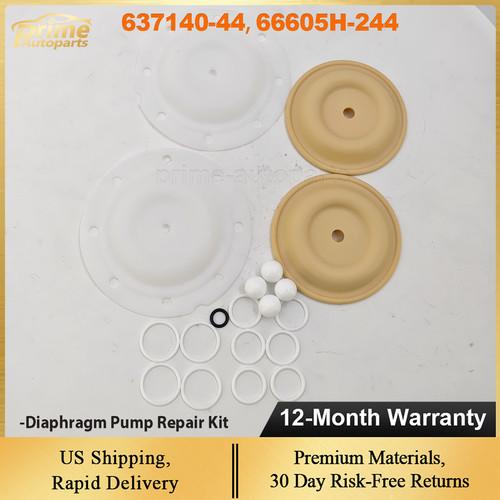 Diaphragm pump repair kit - diaphragm,