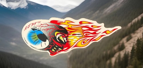 Troy lee design sticker - design,