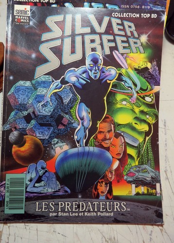 Surfer argent les - surfer, d'argent/les