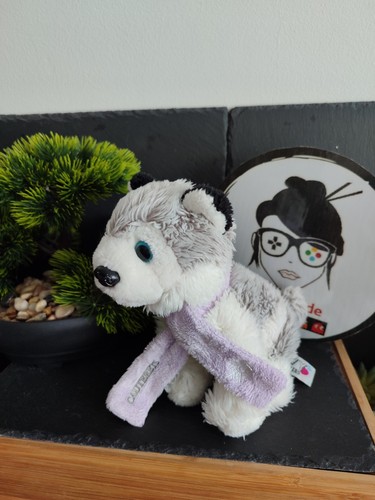 Plush dog husky - wolf, blanket