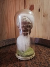 Reproduction de Tête réduite