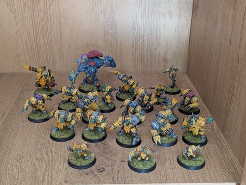 Blood bowl équipe orks - blood,