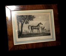 [CHEVAL EQUITATION] VERNET