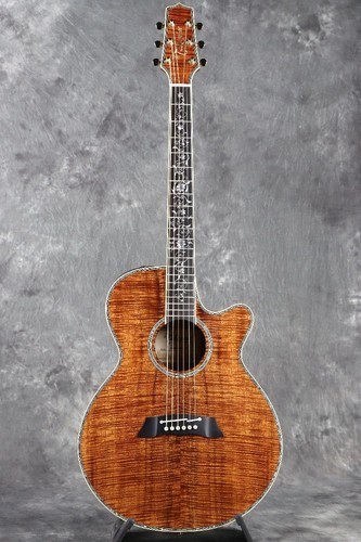 Guitare acoustique électrique - guitare, acoustique-électrique