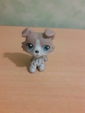 Littlest pet shop * Chien Border Collie n °67 *