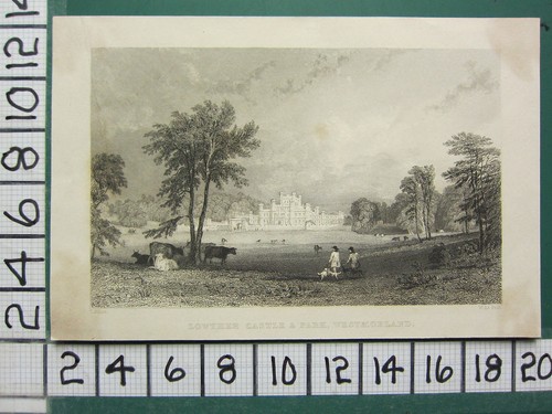C1834 antique imprimé - antique, ~