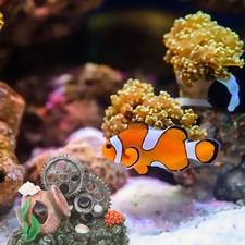 1PC Aquarium Gear Coral