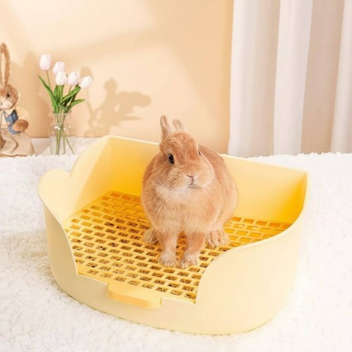 Bac toilette lapin nain bords - bac,