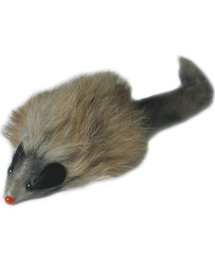 Jeu souris sonore grande - jeu,