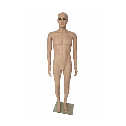 Mannequin vitrine - mannequin,