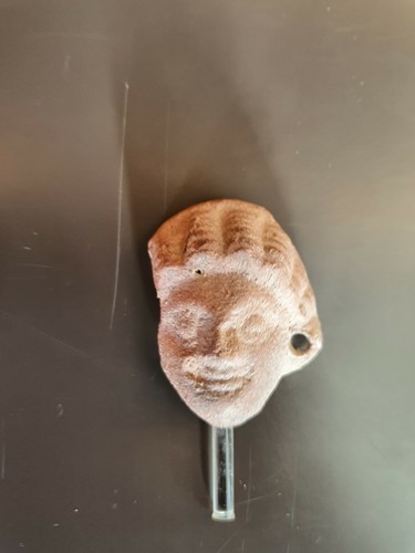 Tête terre cuite - tête, ,