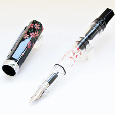 Stylo plume TWSBI ECO BUNGUBOX